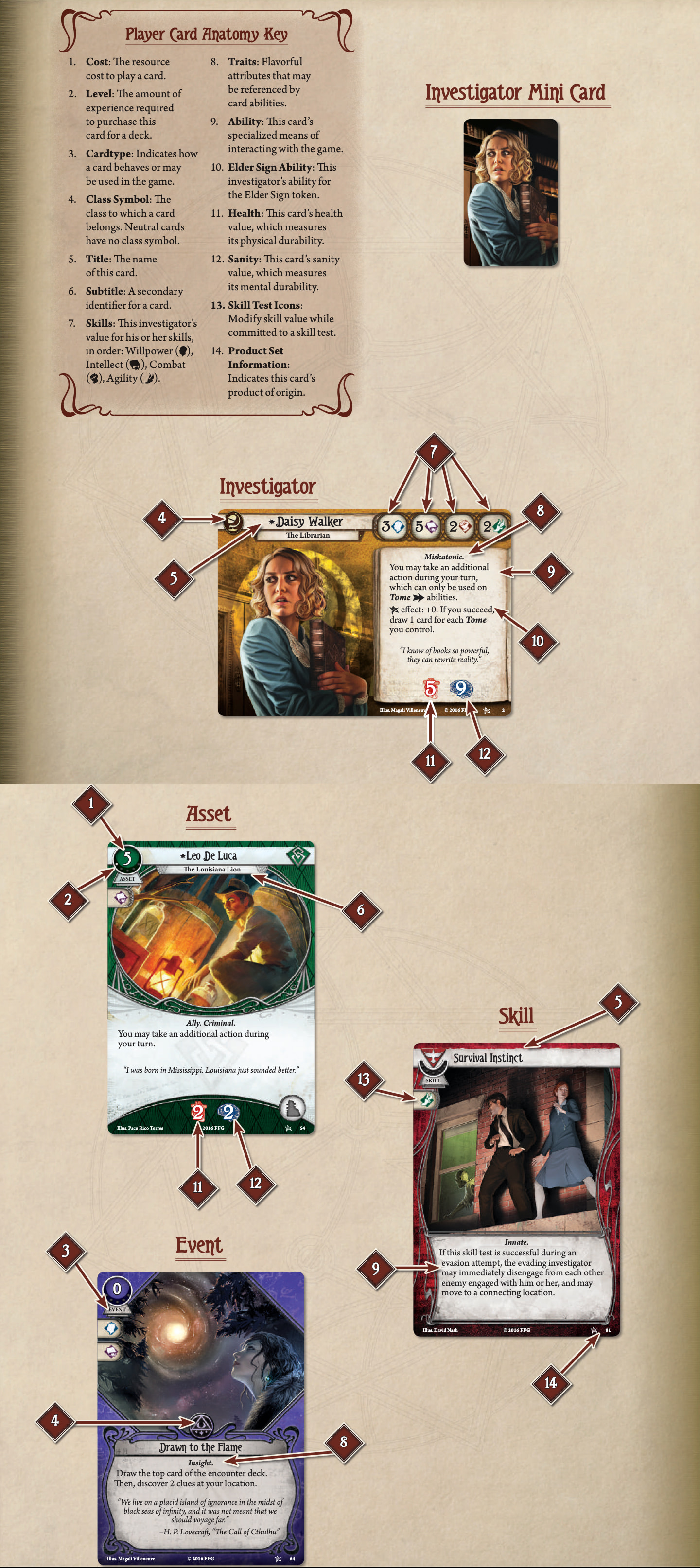 Player Card Anatomy Examples